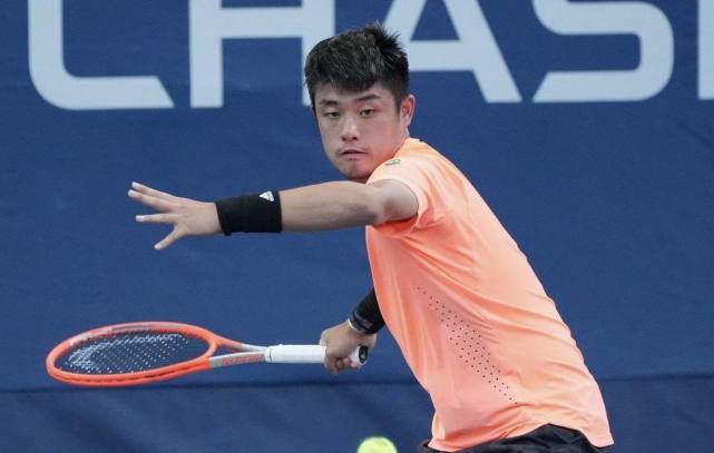 仅被取消 仅被取消