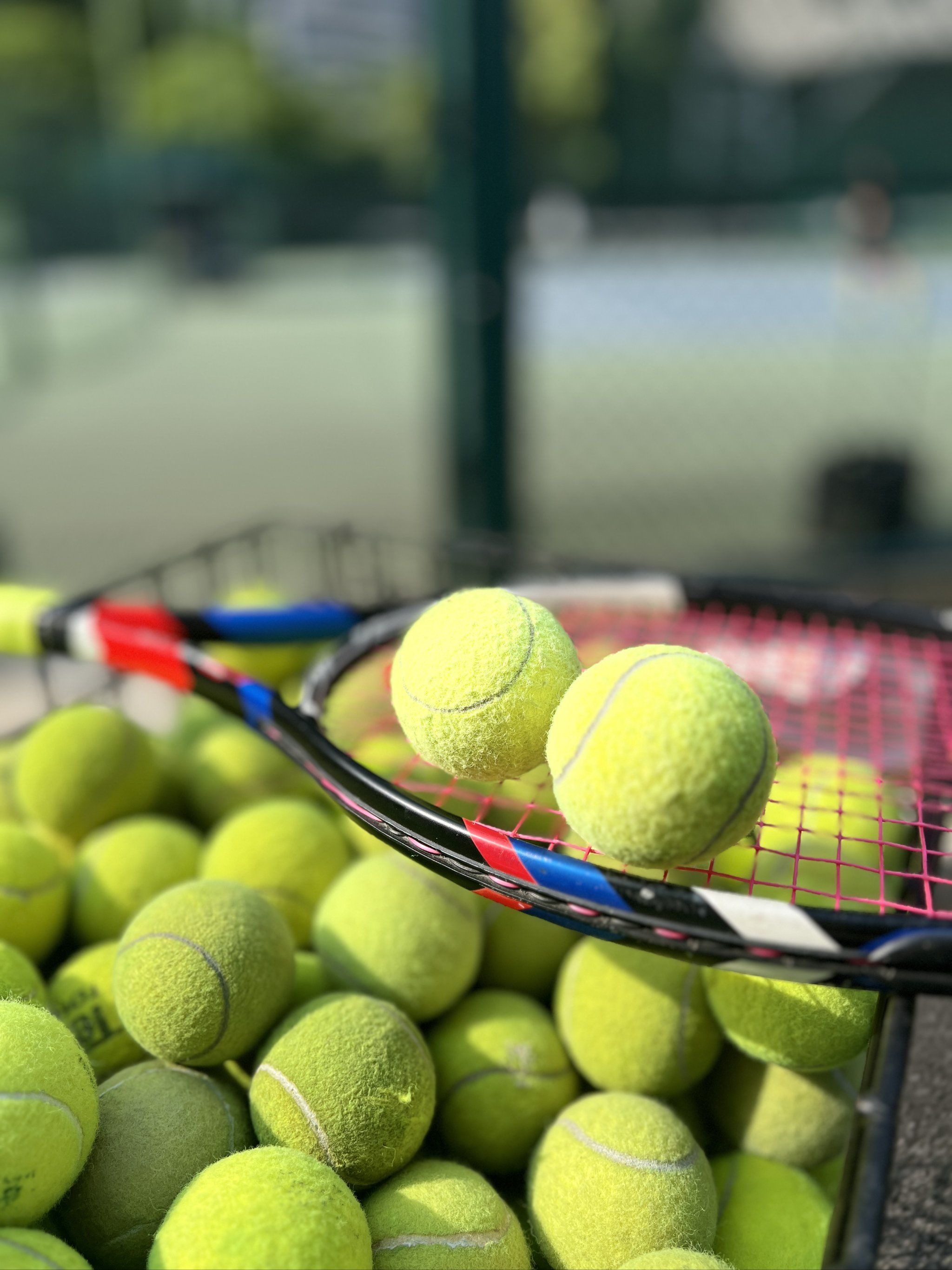 坚实的一步 坚实的一步