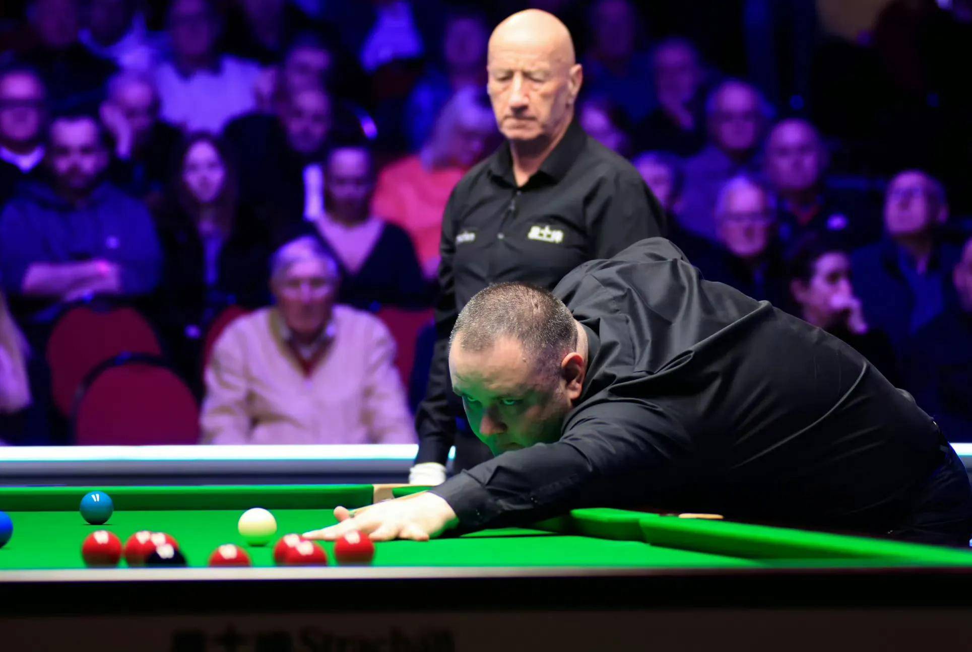 不仅仅因为 不仅仅因为