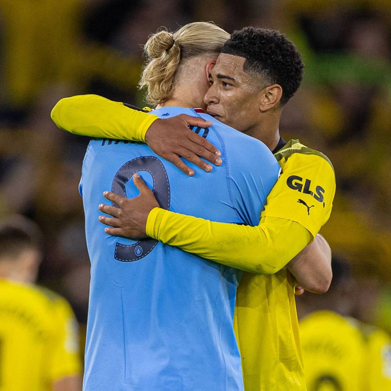 经济激励的 经济激励的