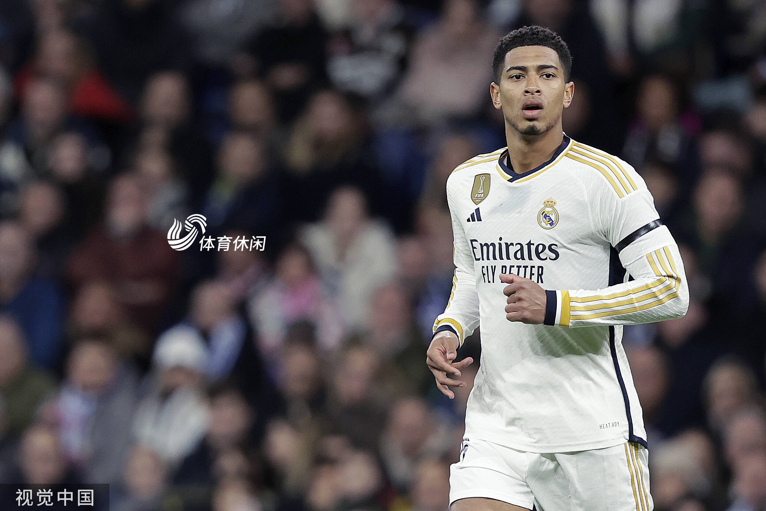 非软柿子 非软柿子