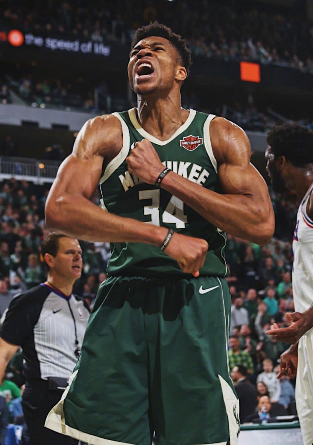 本身就是稀 本身就是稀